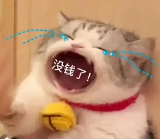 北京，男子和女友异地恋，女友多次以自己没有生活费了、要交房租、要赡养父母等理由，
