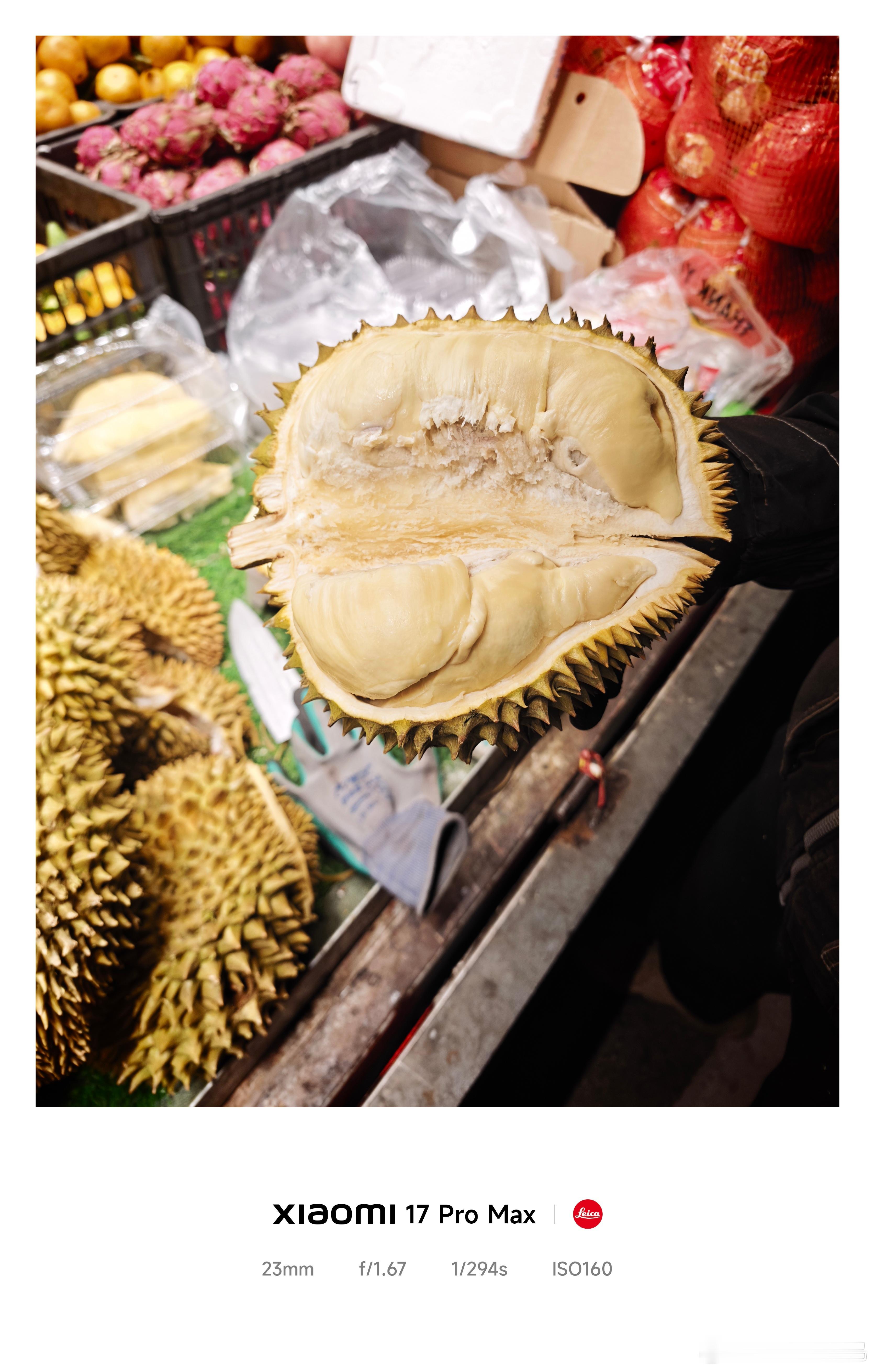 看我的报恩榴莲 ​​​