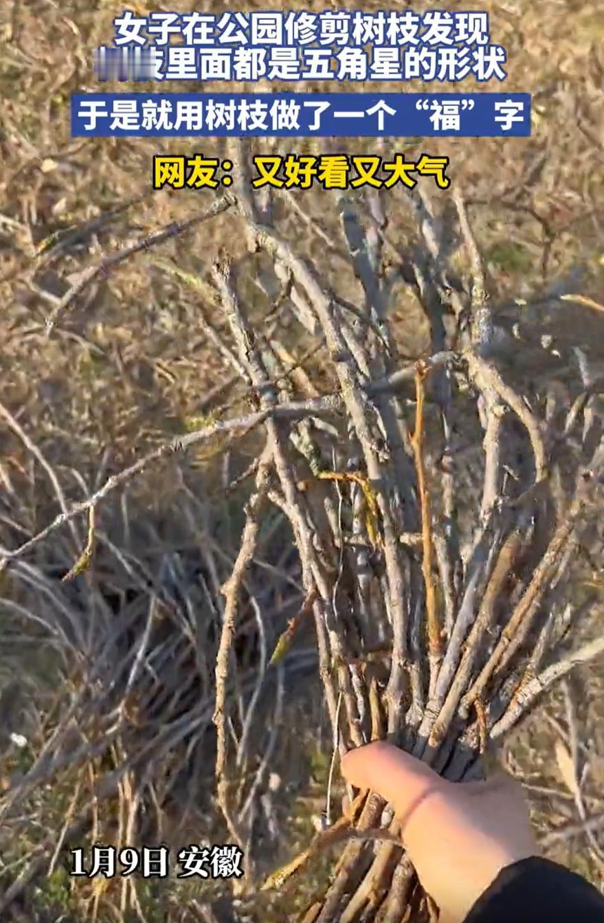 太有才了！安徽，一女子去公园修剪树枝，不过剪着剪着她就发现了一个有意思的事，那就