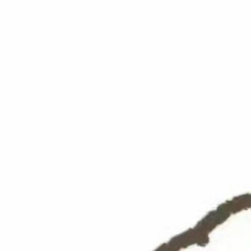 900向善是一种文明，也是一种光明。善良之举，需要人人拥有；善良之歌，需要人人唱