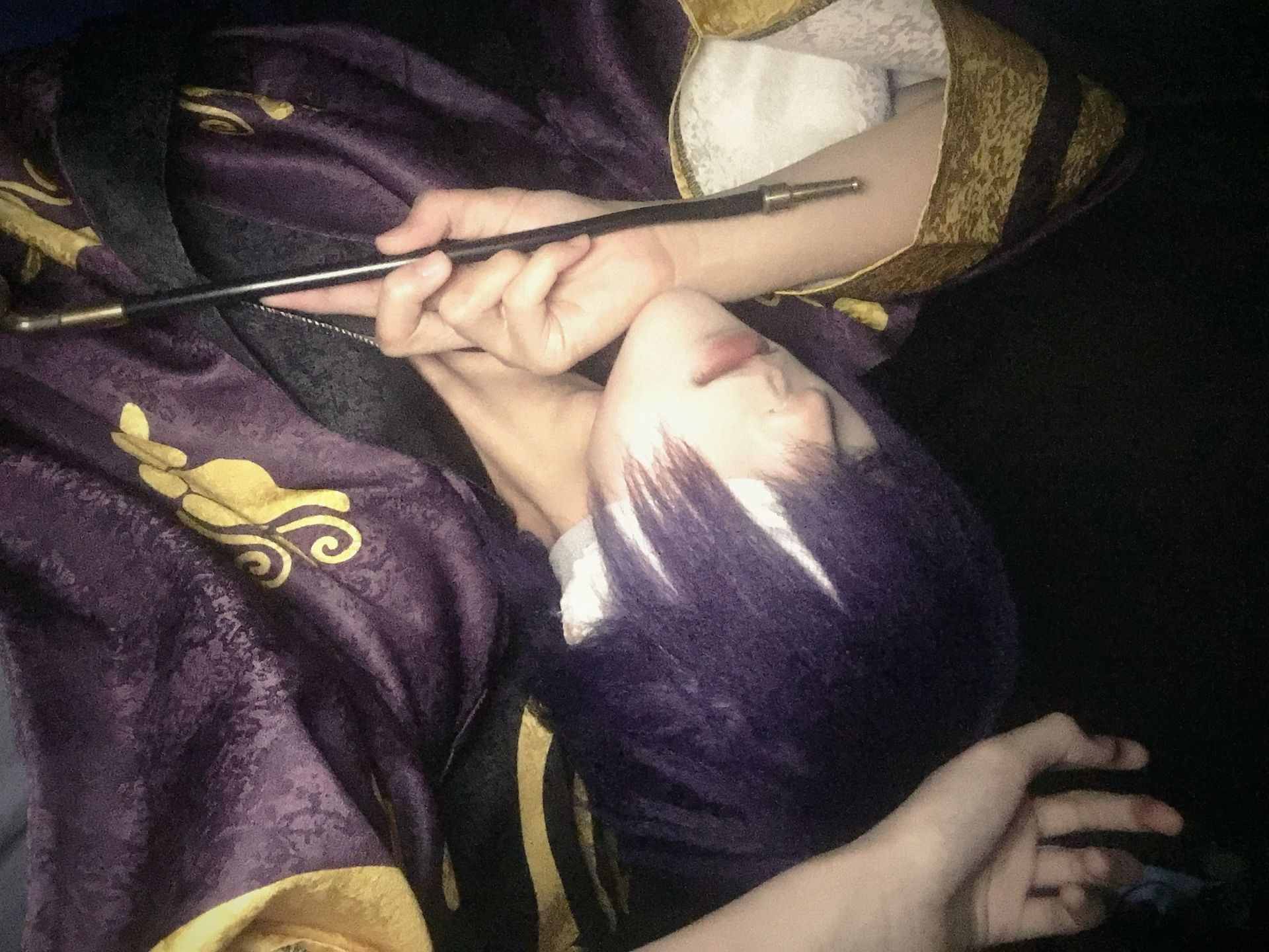 紫蝴蝶 
