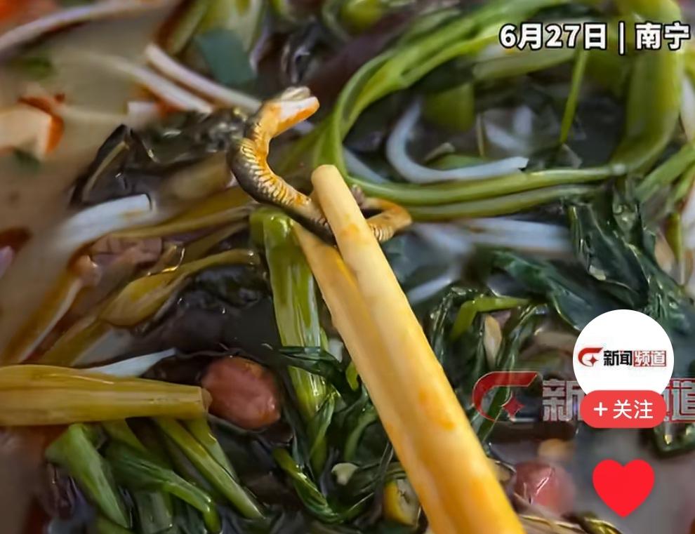 [恐惧]天下之大，无奇不有，在外面吃螺蛳粉吃出一条小蛇来还是第一次听说，着实有点