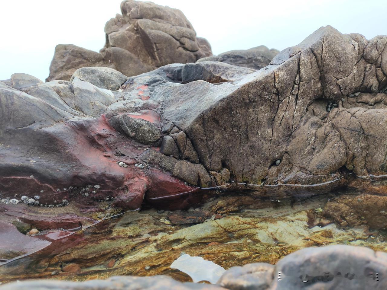 今年广西的冬天来的似乎太晚了一些，
昨日的温度才让我穿上了秋裤。
不比湖南的气温