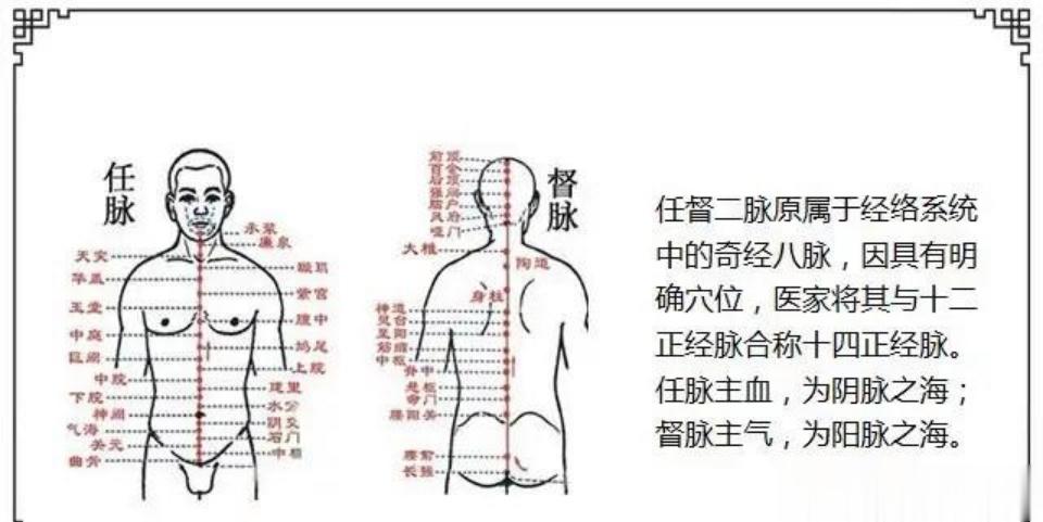 人体穴位大约有400多个。分布在十二正经，后背正中的督脉，前正中的任脉上的穴位叫