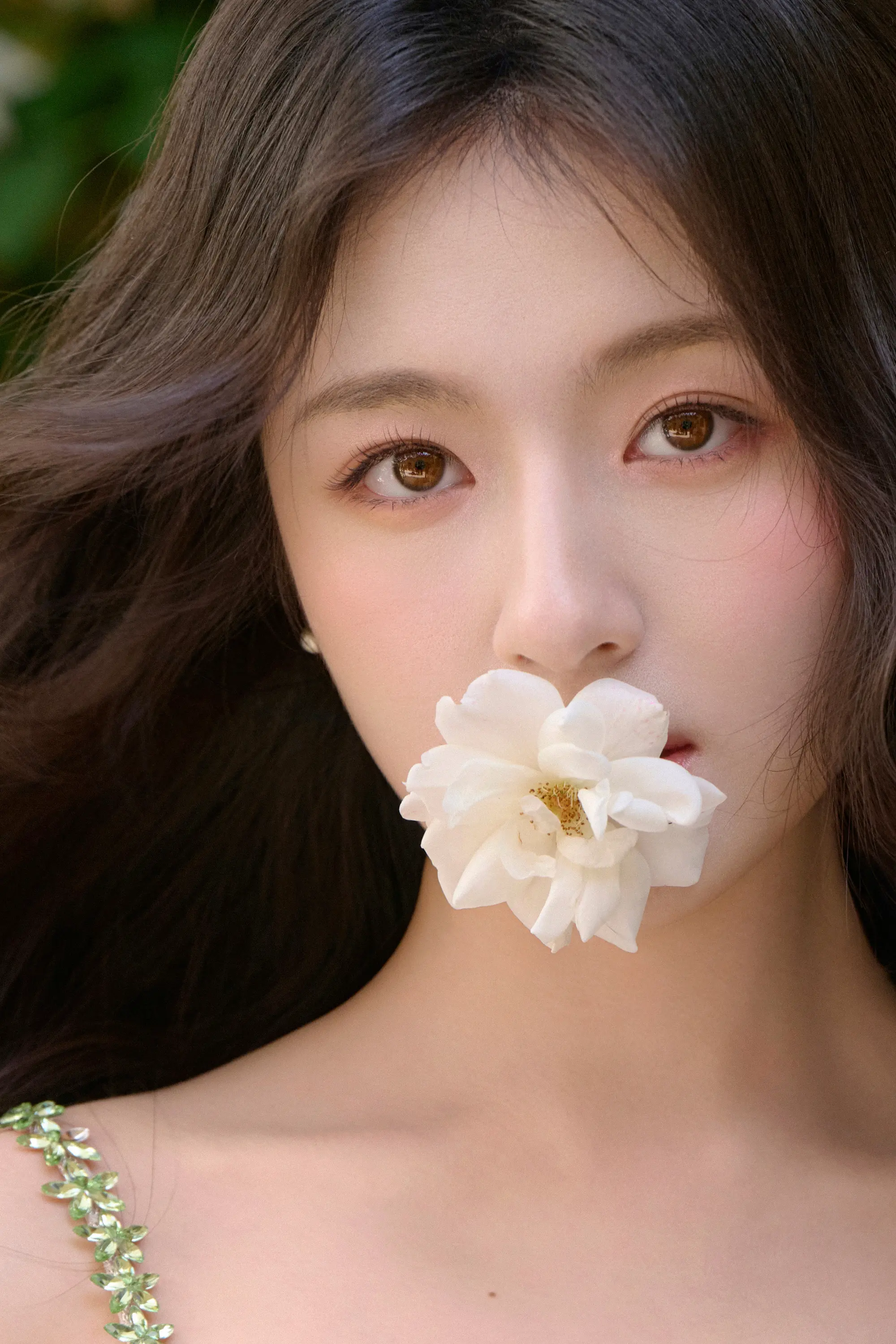 好美好美，太爱叼花这一幕了