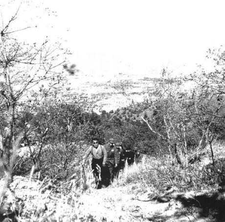 朱德在北京玉泉山(1951年)。