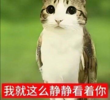 我讨厌蠢货朋友 