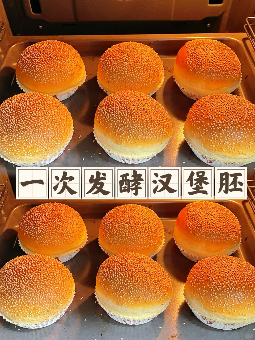 一次发酵汉堡胚省时省力‼️隔夜依旧很松软