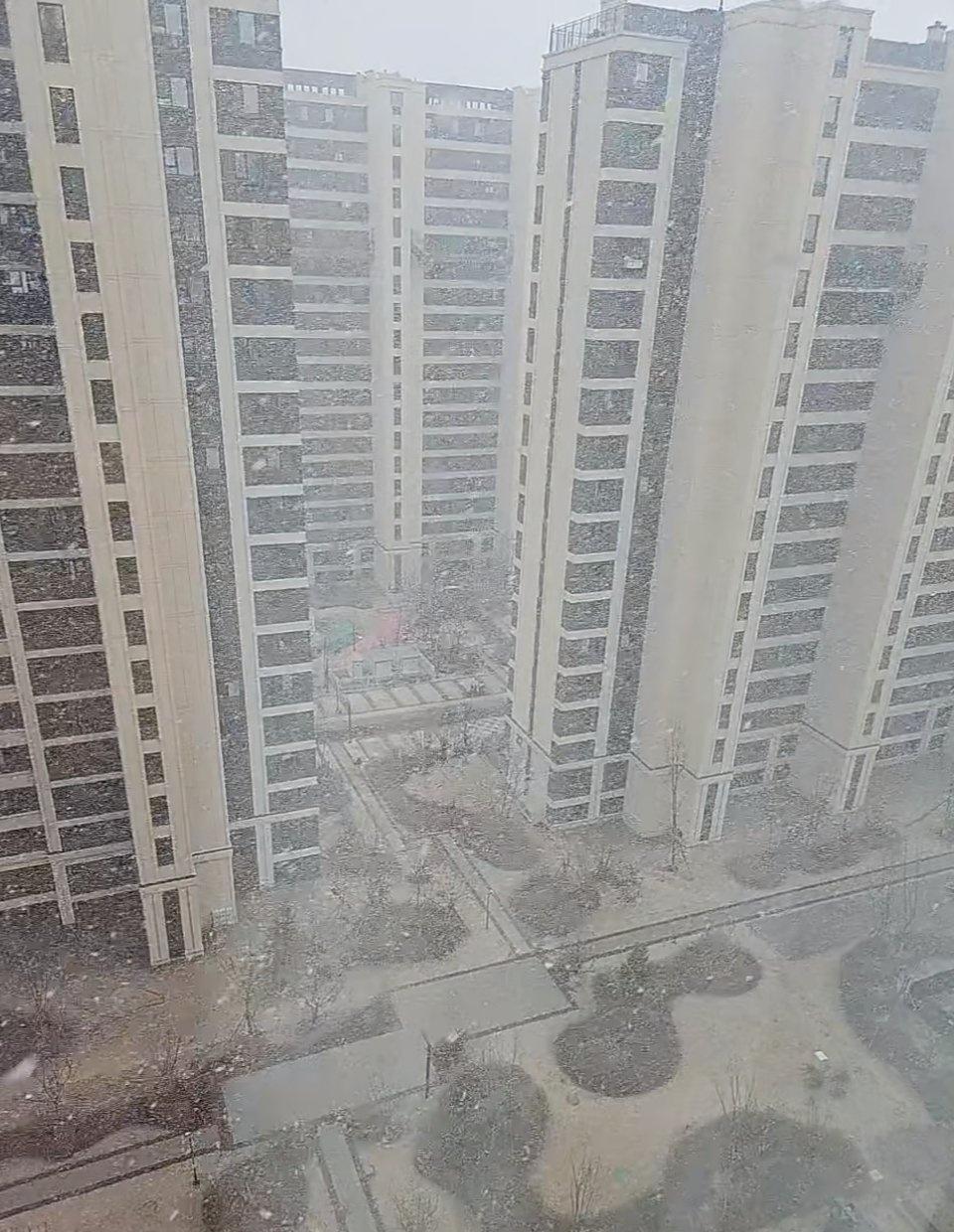 清明时节雪纷纷，长春的四月雪❄️  ​​​