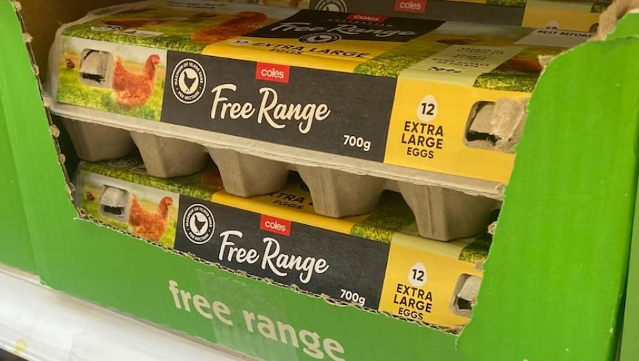 澳洲超市出售的鸡蛋有free range（散养鸡鸡蛋）和cage eggs(笼养