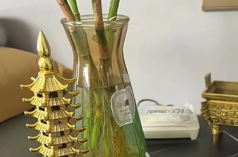 现在社会都进步到这种程度了，竟然还有人相信风水大师这个职业
江苏淮安，一对夫妻，