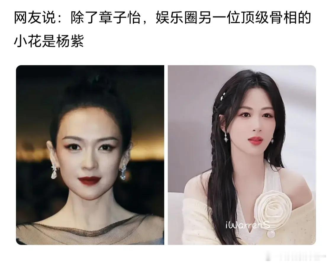 为什么最近大家都在讨论：内娱，除了章子怡外，还有另一位顶级骨相小花杨紫！“顶级骨