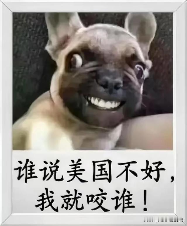 世界上所有战争背后都有美国[炸弹]