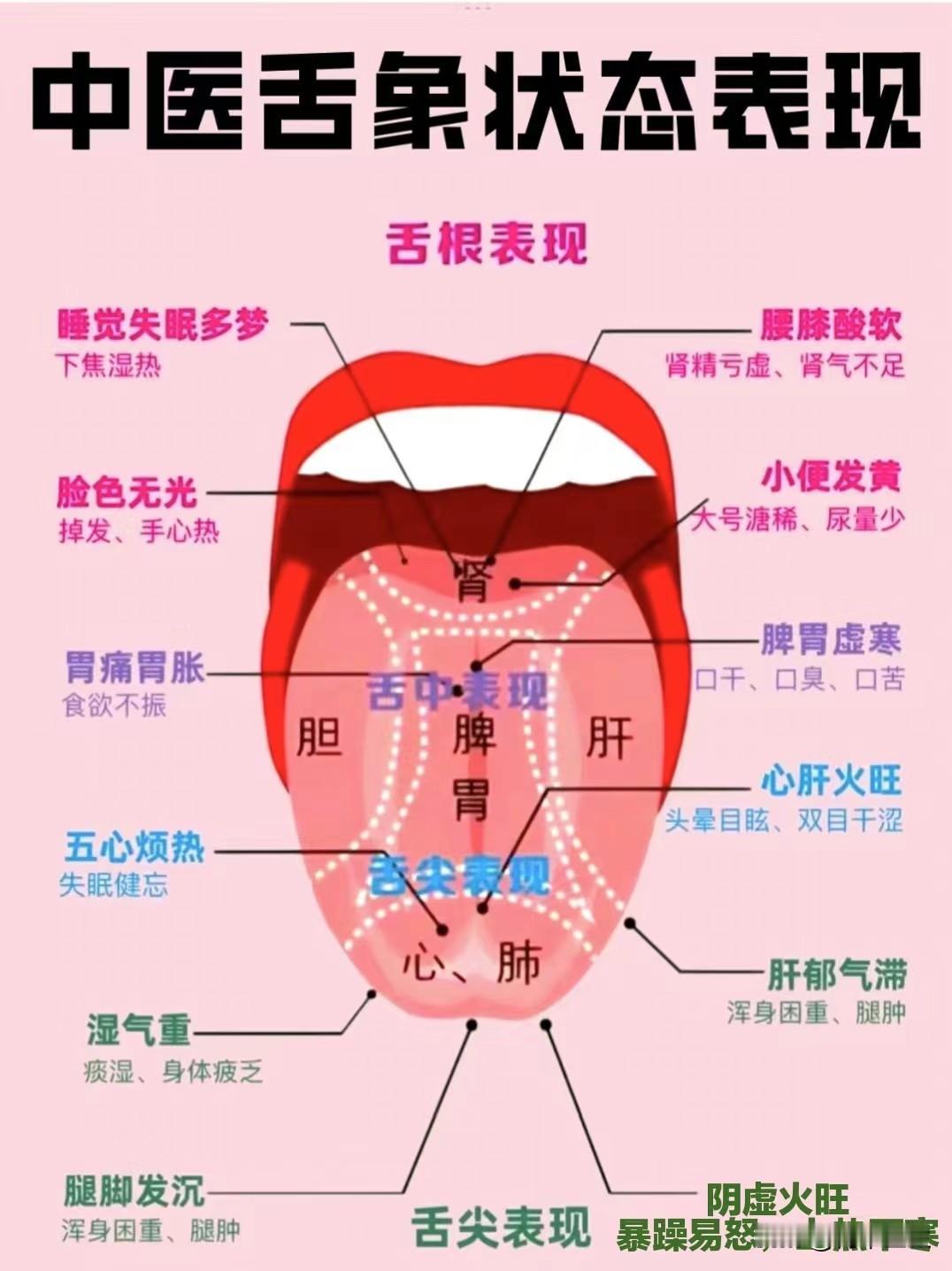一分钟教会你看舌象，这几个常见的舌象先记好，对照看看自己是哪一种，不懂的可以发在