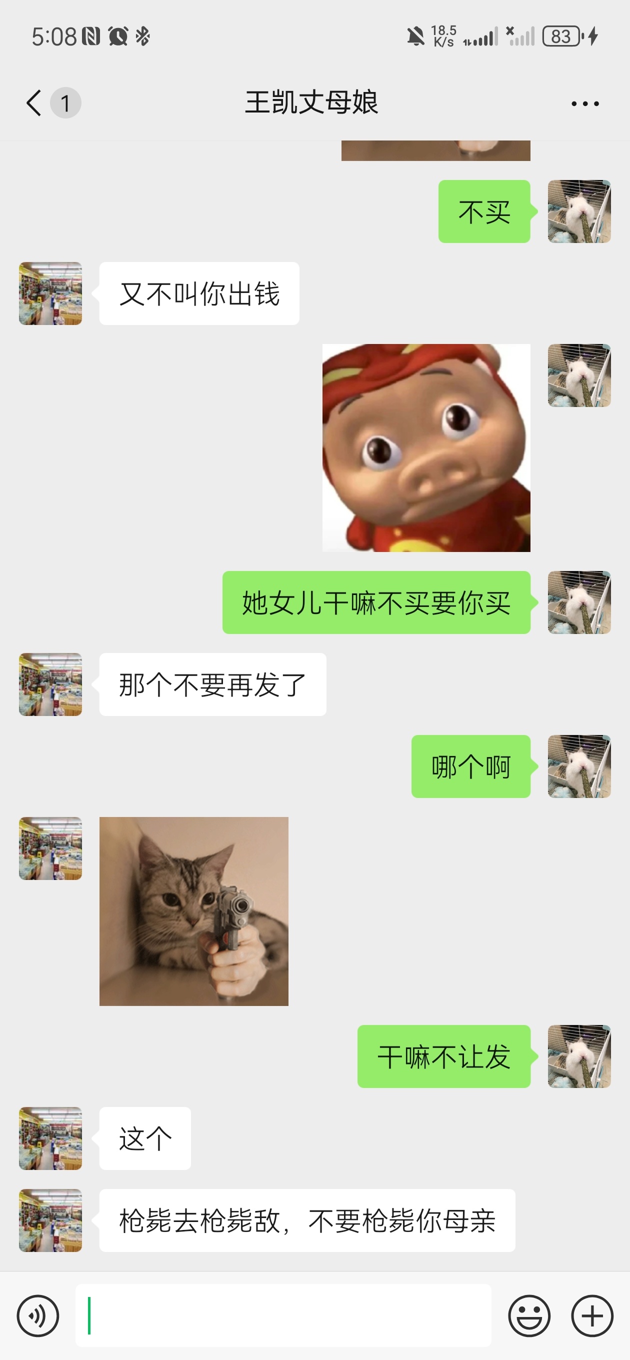 王凯丈母娘:咱们家不允许枪毙妈妈 
