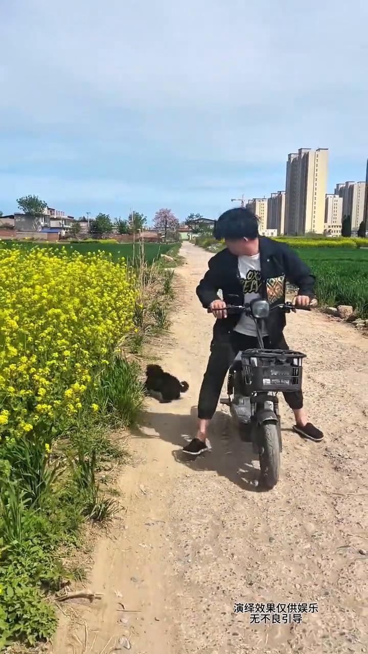 大白天还有人偷狗，什么人都有。