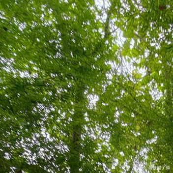 年轻，是一种生活态度，和岁月无关，只要你还有激情，还愿意努力，什么时候开始都刚刚