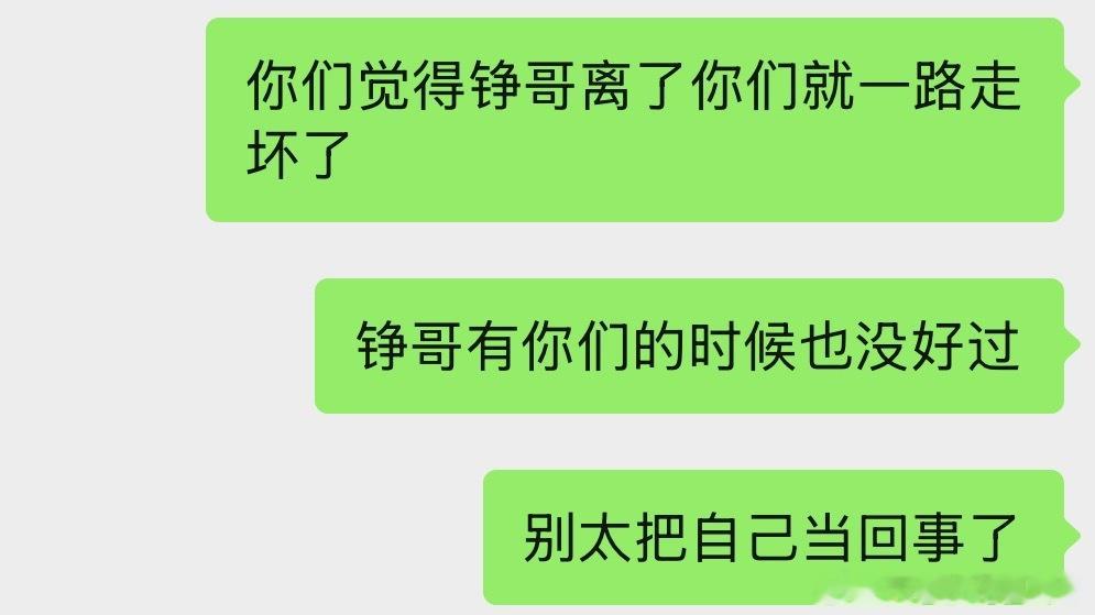刘铮是我散养的电子小猪 