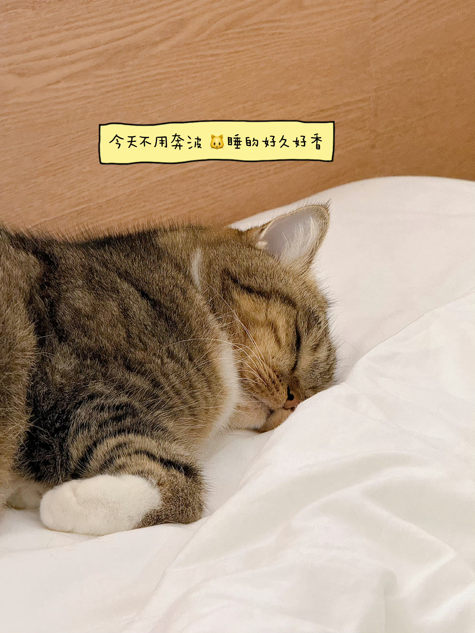 国庆 睡7天我来报名✌ ​​​