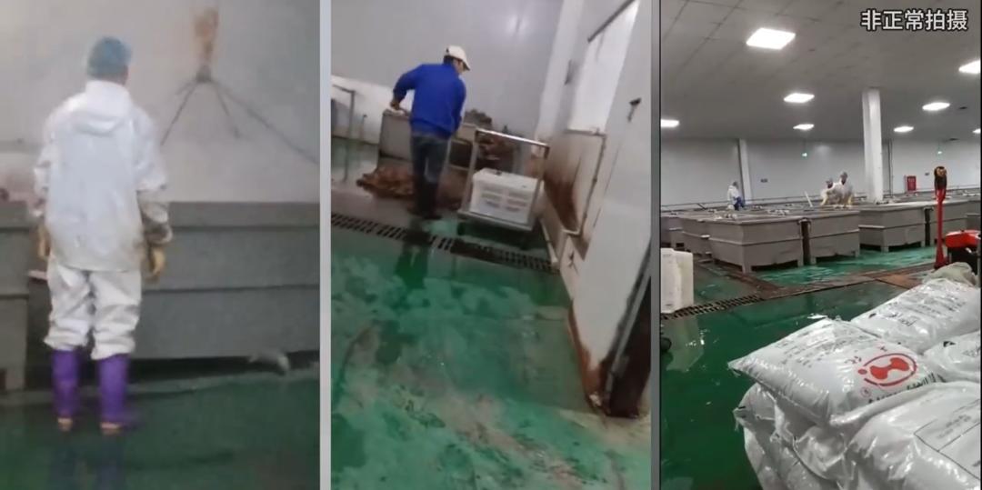 315曝光毛肚黑幕！网红带货千层肚违规，多起官方案例实锤乱象

315刚过，毛肚