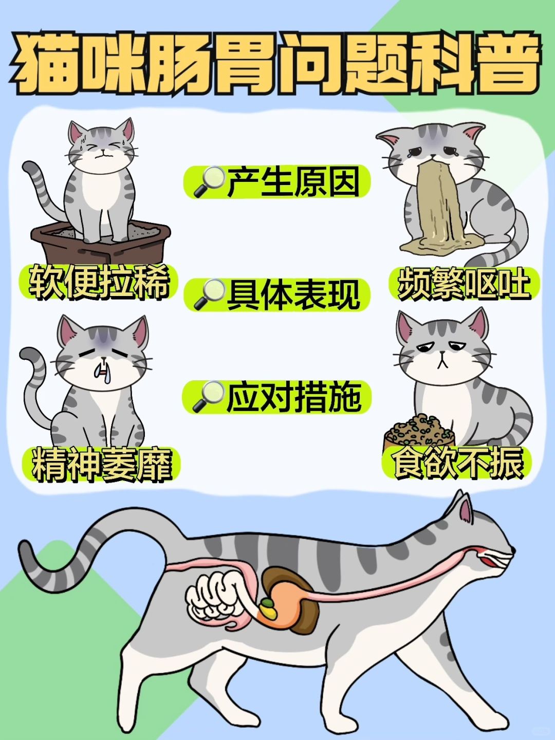 猫咪肠胃问题小科普｜轻松养出猫咪钢铁胃