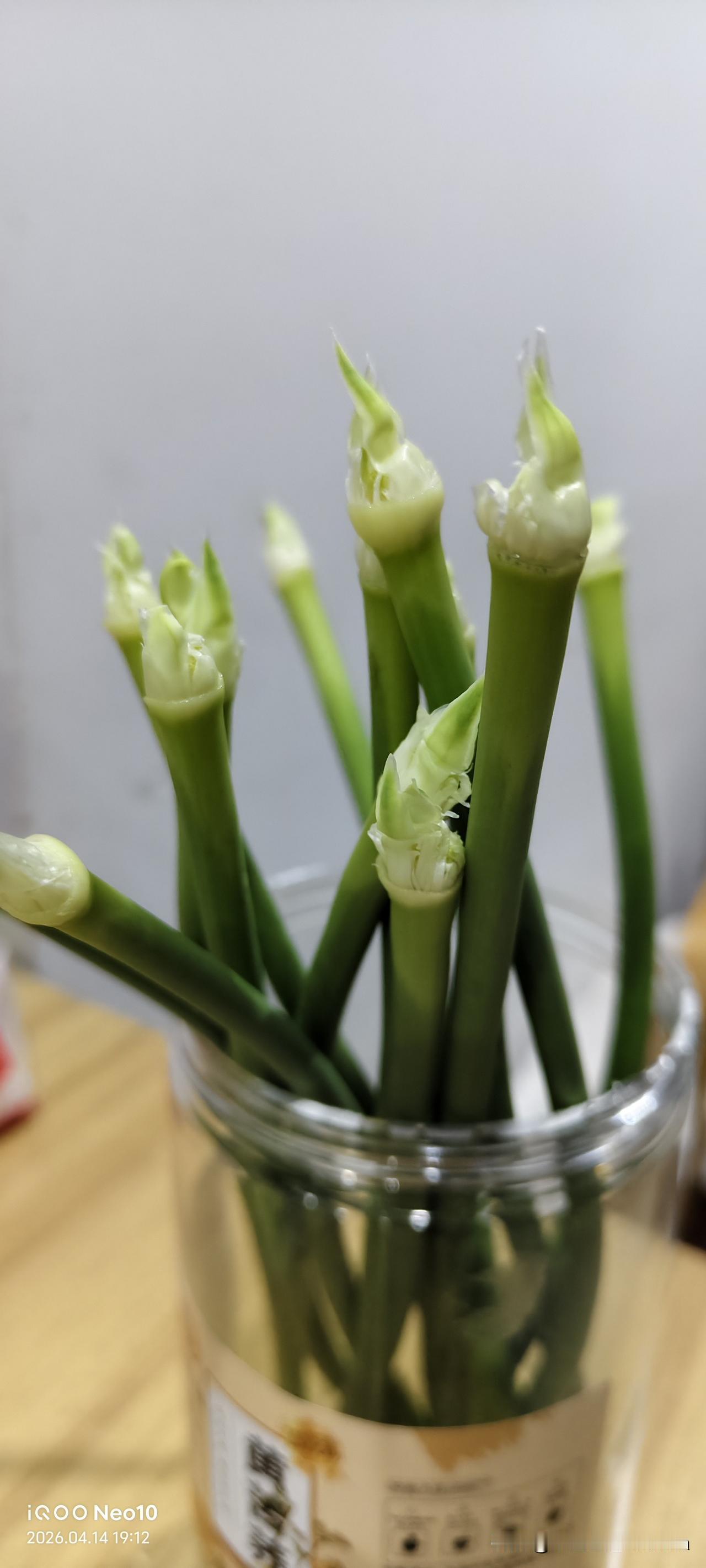 幸亏我提前让隔壁护工都给我交代清楚了，不清楚的地方我立马就在微信上问让她和我说。