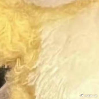 0000000000tiantiankaixin我们立于新时代，行于征途上。青年