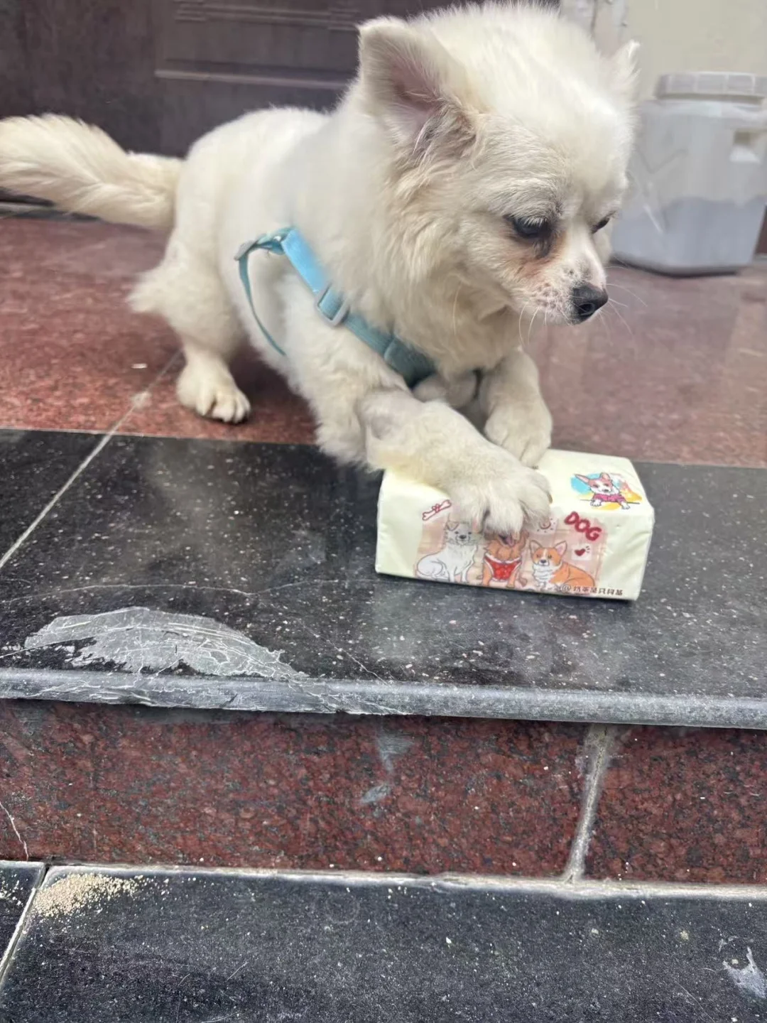 姨姨们，家里是不是需要囤抽纸了呀！！