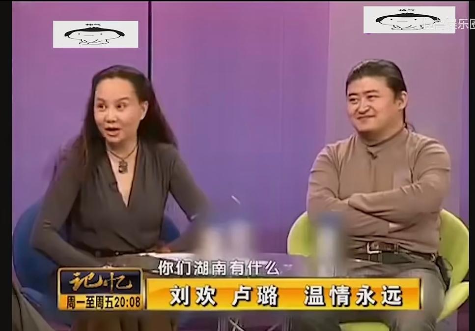当年刘欢成名爆火靠的是在电视剧《便衣警察》的主题歌《少年壮志不言愁》而火遍大江南