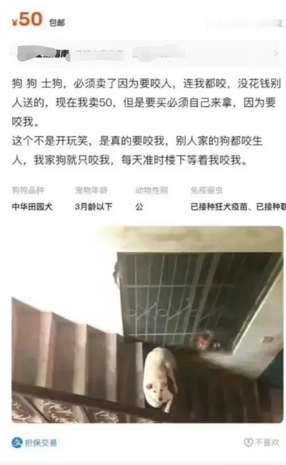 这个，一盘狗肉也不止这个价吧？