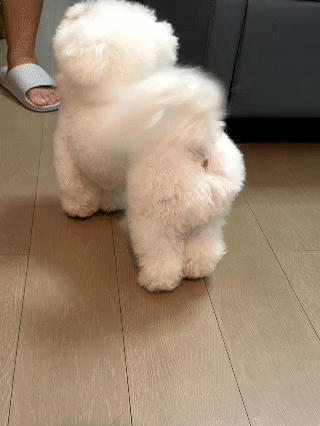 我对国内星探很失望 ​​​