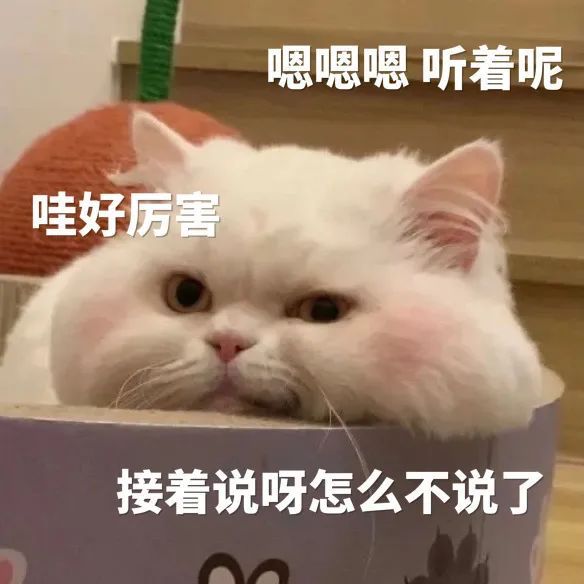 可爱表情，萌化你的心。 #表情包# ​​​