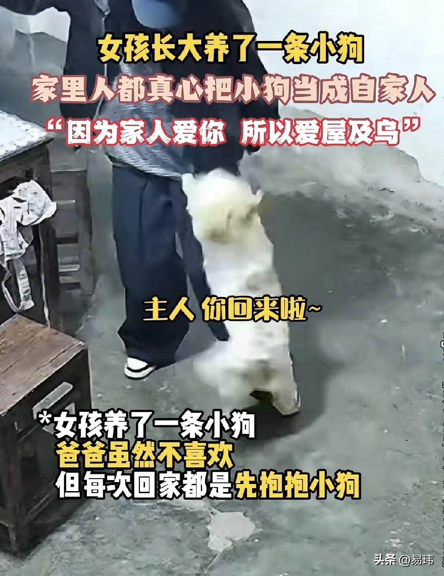 太幸运了！一位小姐姐养了一只狗狗，开始她还担心家人不喜欢宠物，决定养它麻烦，结果