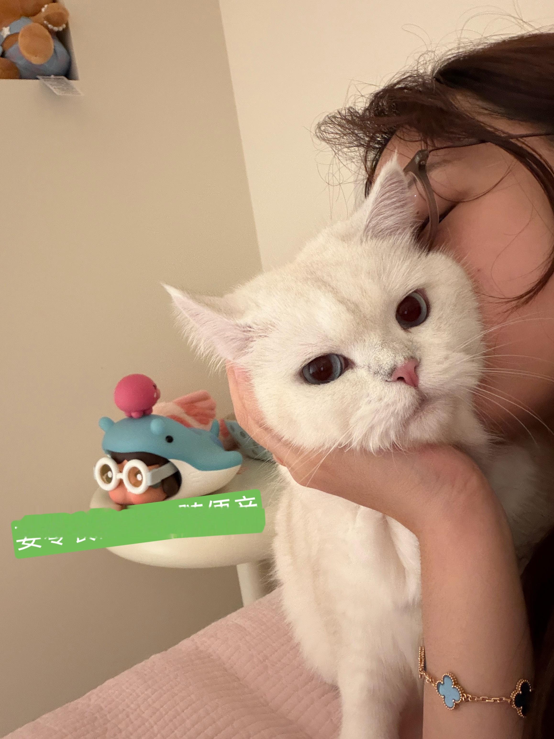 今天活干完的早早点睡明天早起出发贵阳啦！也算出差吧金主妈妈定制的出游主题！不过我