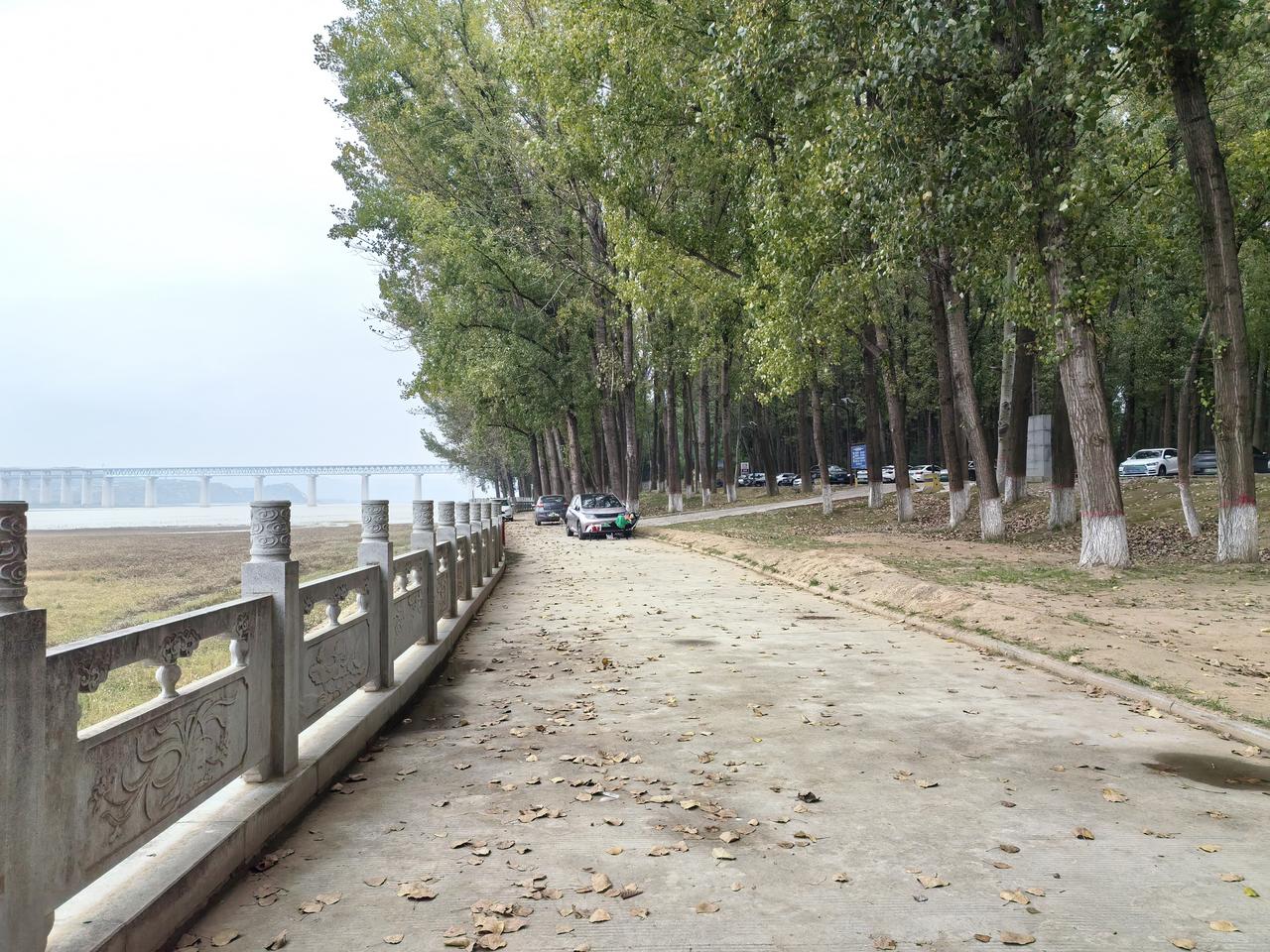 这次三门峡之行，只逛了地坑院和黄河湿地，好多地方没来得及打卡。
遗憾没去虢国博物