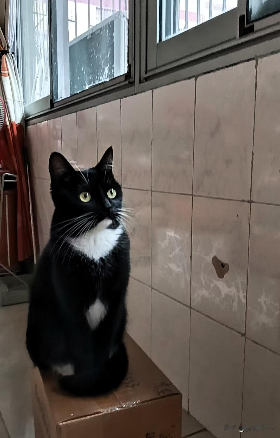 在头条上走马观花时
偶然发现了一些作者
比如素老三、心灵书舫等成功的共通点——