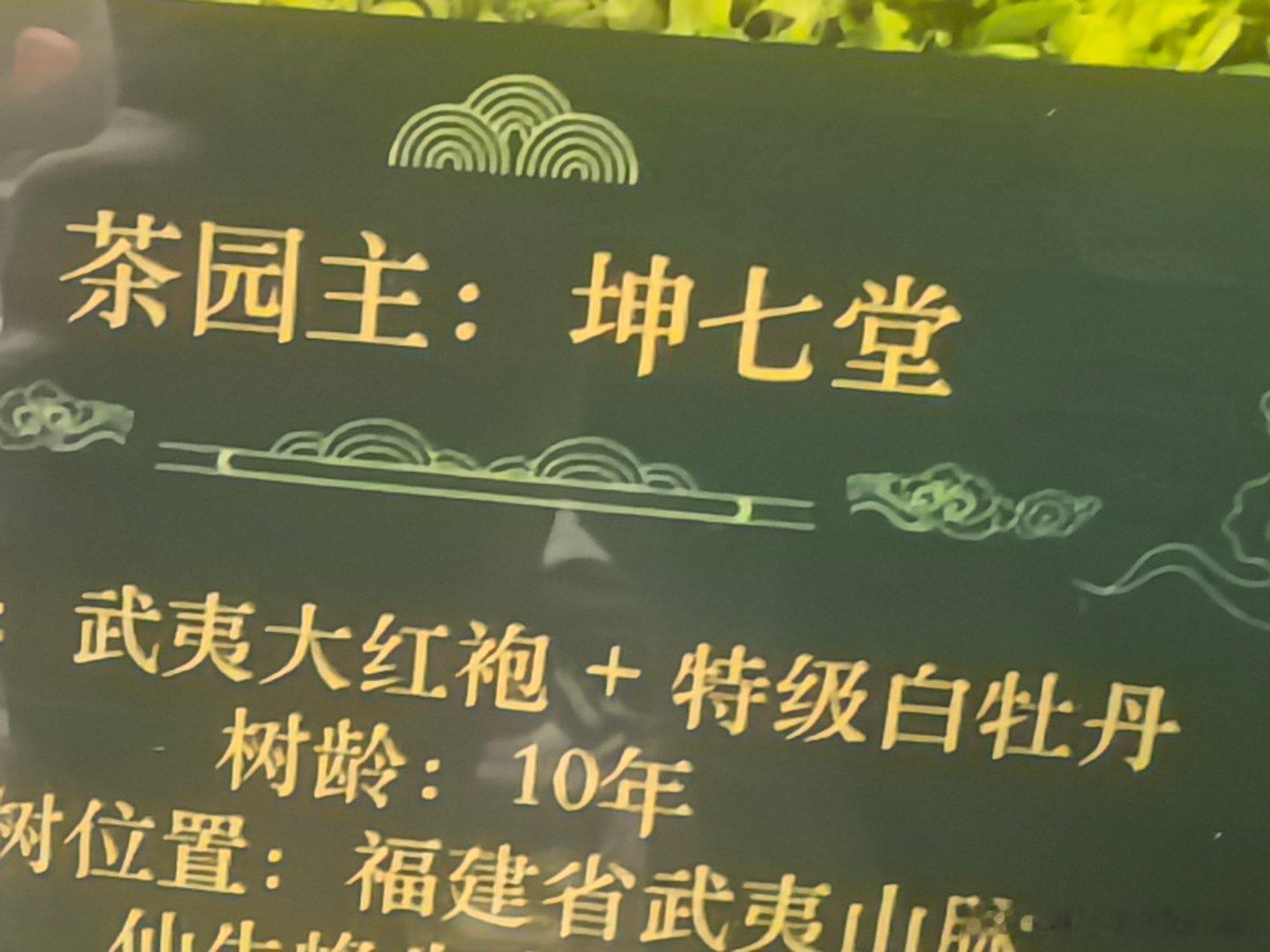 茶园叫《坤七堂》半年前刚带兄弟们上纽北，助力中国速度。坤七堂，做大做强。 