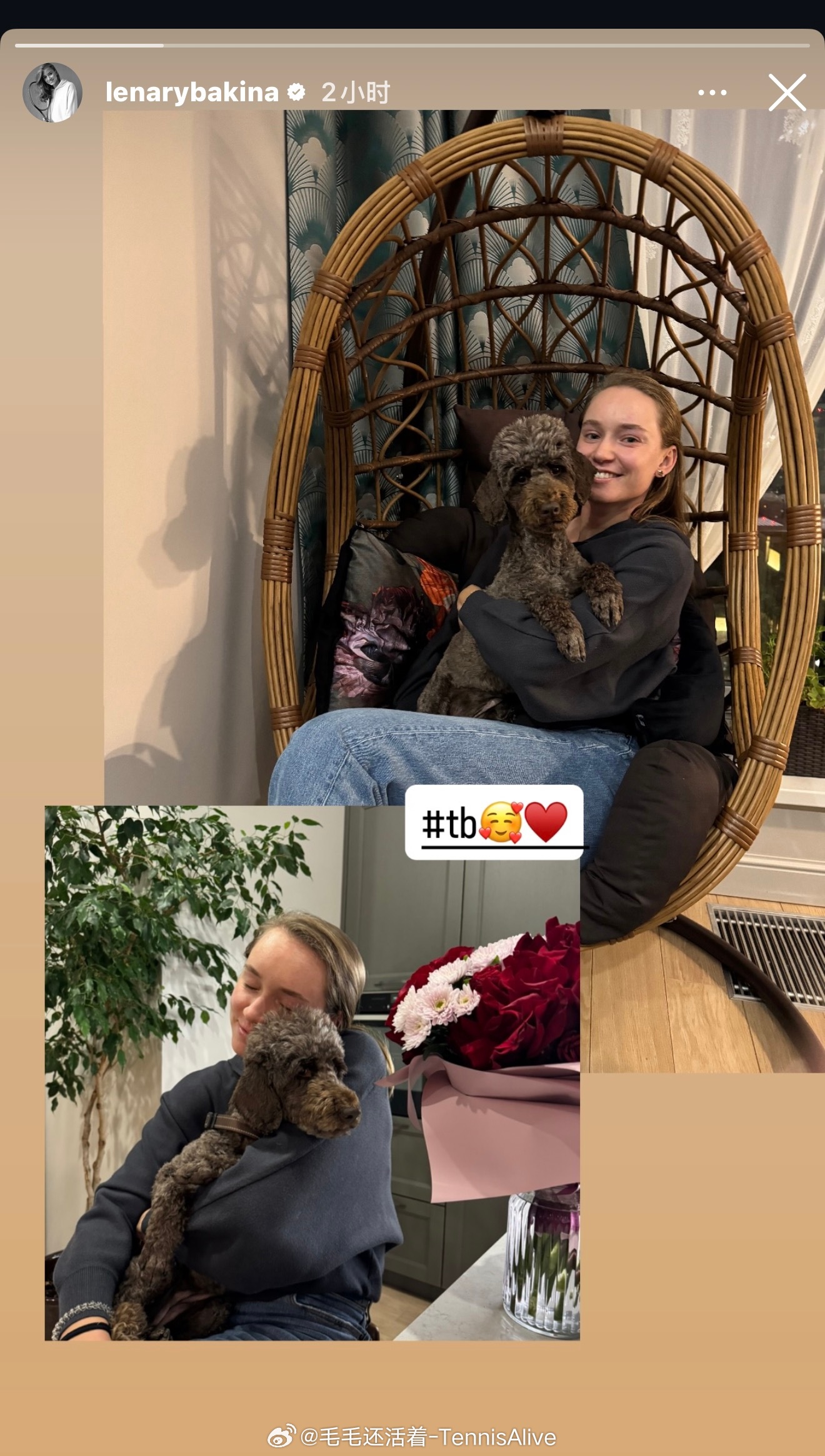 莱巴金娜更新狗狗照 