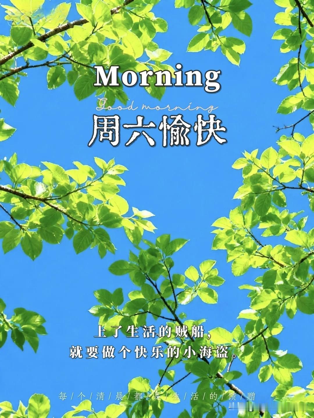 ²⁰²⁶/₀₄.₁₈ 周六｜一键复制，让周六如一朵云，自由地飘向远方，不问归期?