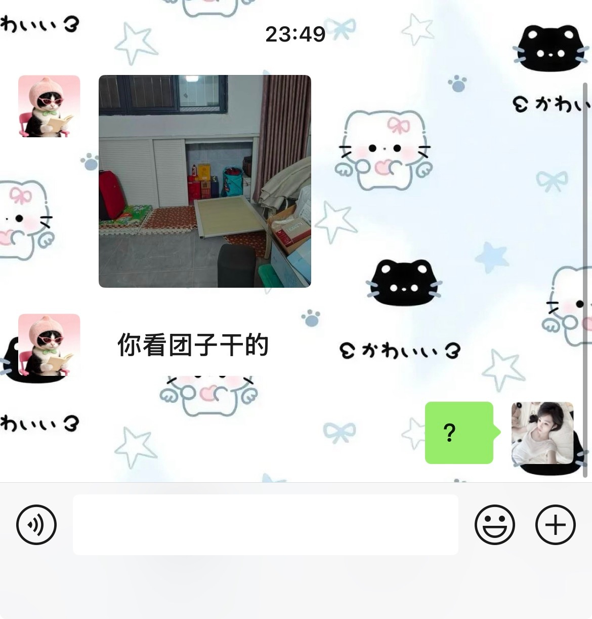 我家猫给门拆了。 ​​​
