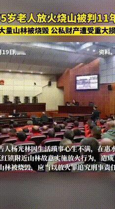 七旬翁泄愤烧山 获刑十一年没商量
 75岁的杨光林因生活琐事心里不痛快，竟在贵州