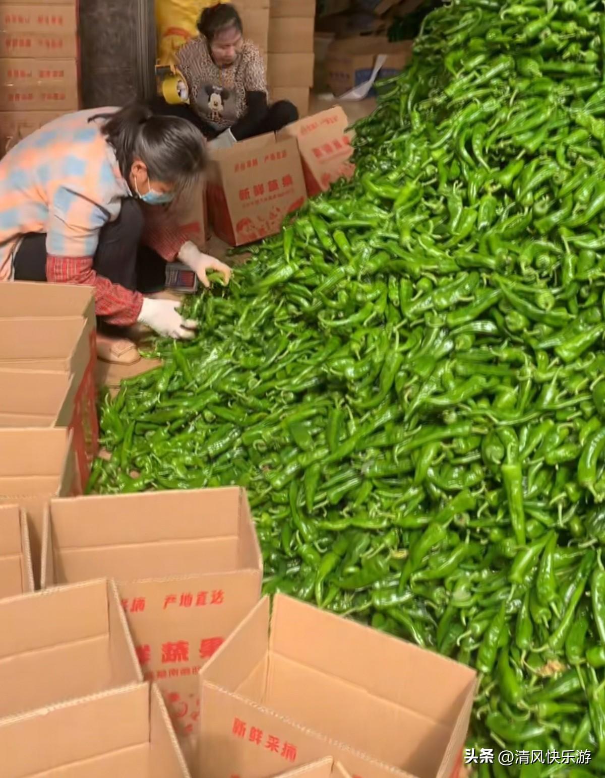 我一个人在家做电商的真实经历和感受！
我做电商这是第三个年头了，刚开始的时不会选