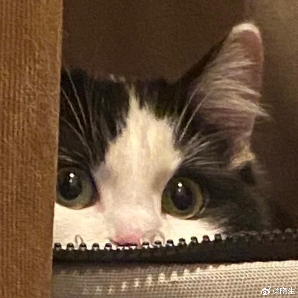 咨询中其实很害怕一种人——自作聪明总觉得自己在做一些“周到”的事，其实不如直接表