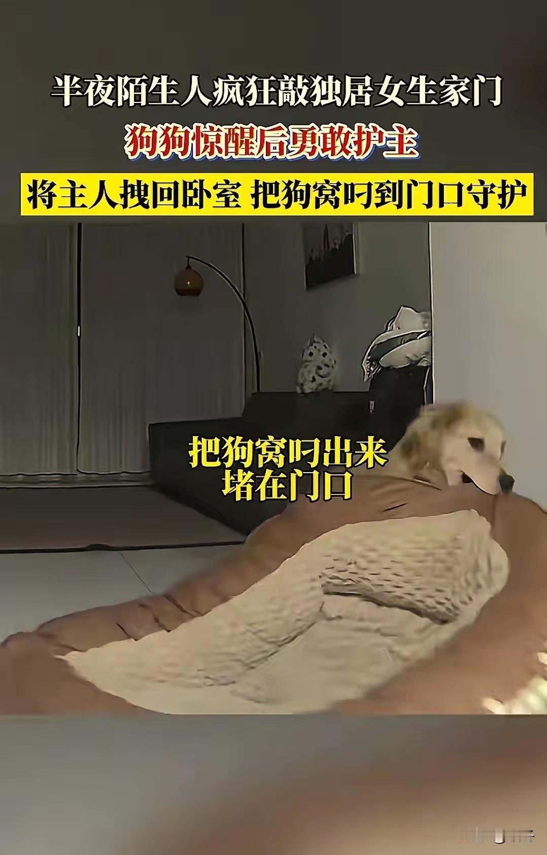 凌晨三点，吉林市某小区内一片寂静。26岁的李芸（化名）在睡梦中被一阵急促的砸门声