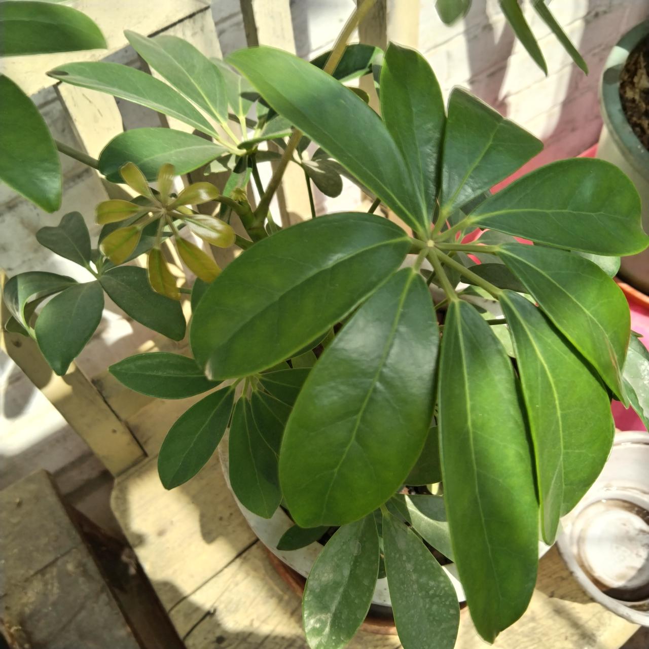 退休生活本应是卸下半生重担、安享晚年的时光，但现实中不少老人却感到比工作时更累、