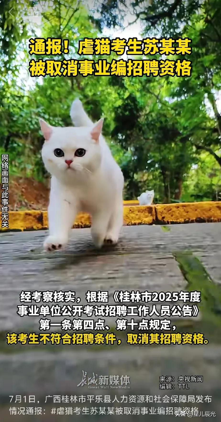 现在全网最后悔的应该是因虐猫事件被取消招聘资格的苏某某，而且他考的还是事业编。他