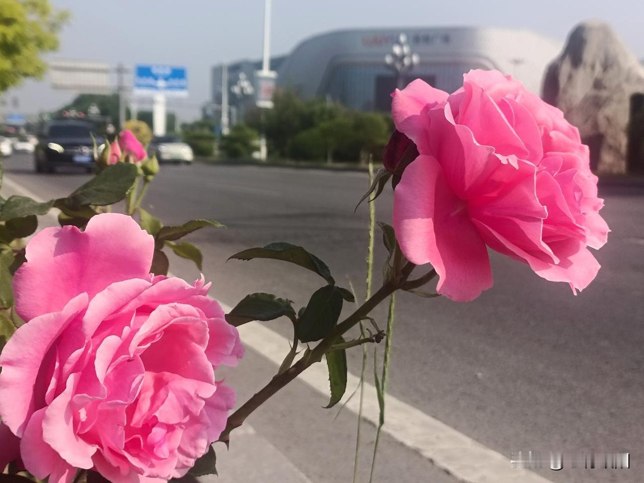 2、夫妻不和多半缺少体谅，遇事各持己见，不懂包容理解，日积月累矛盾越来越多。
3