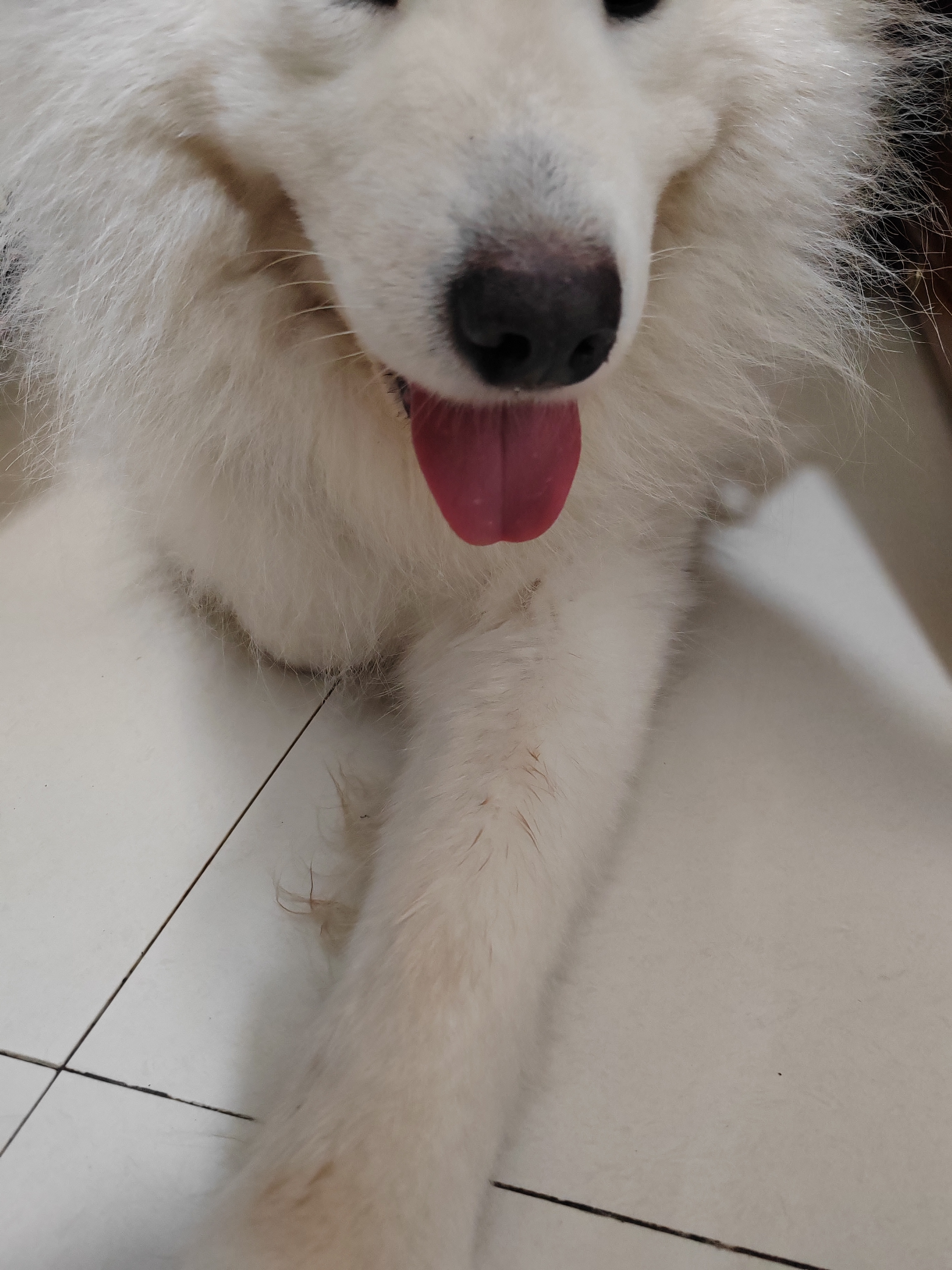 过儿。 