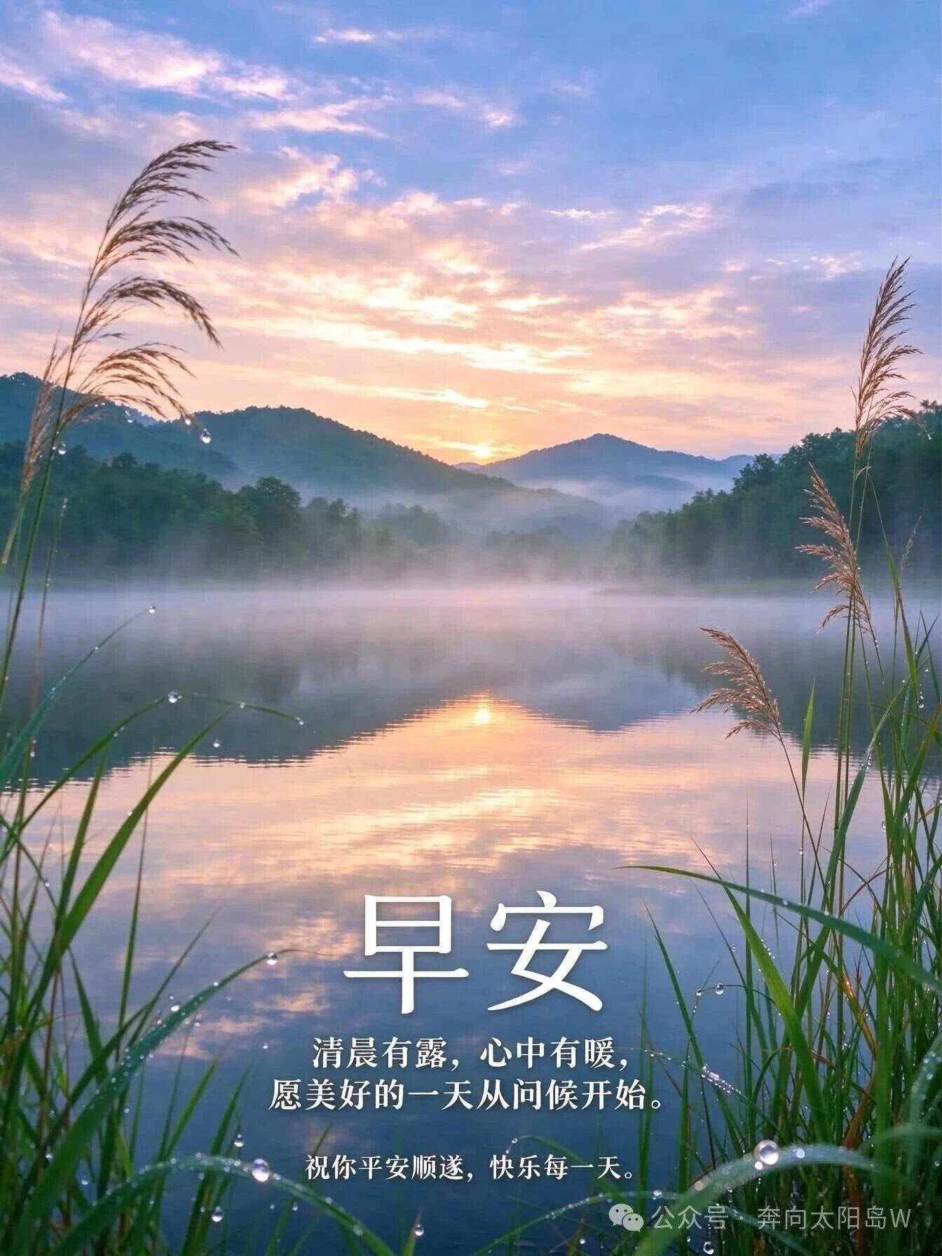 分享图片 ​​​