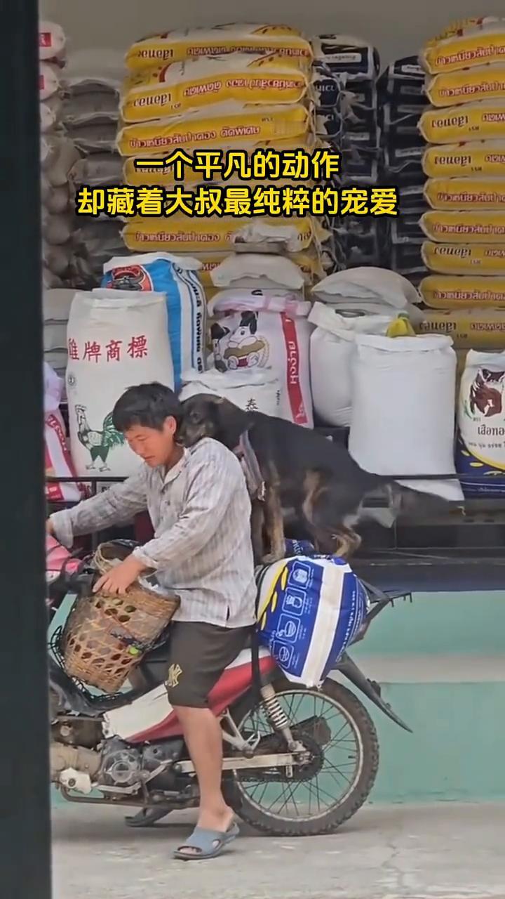 一个平凡的动作，却藏着大叔最纯粹的宠爱。
